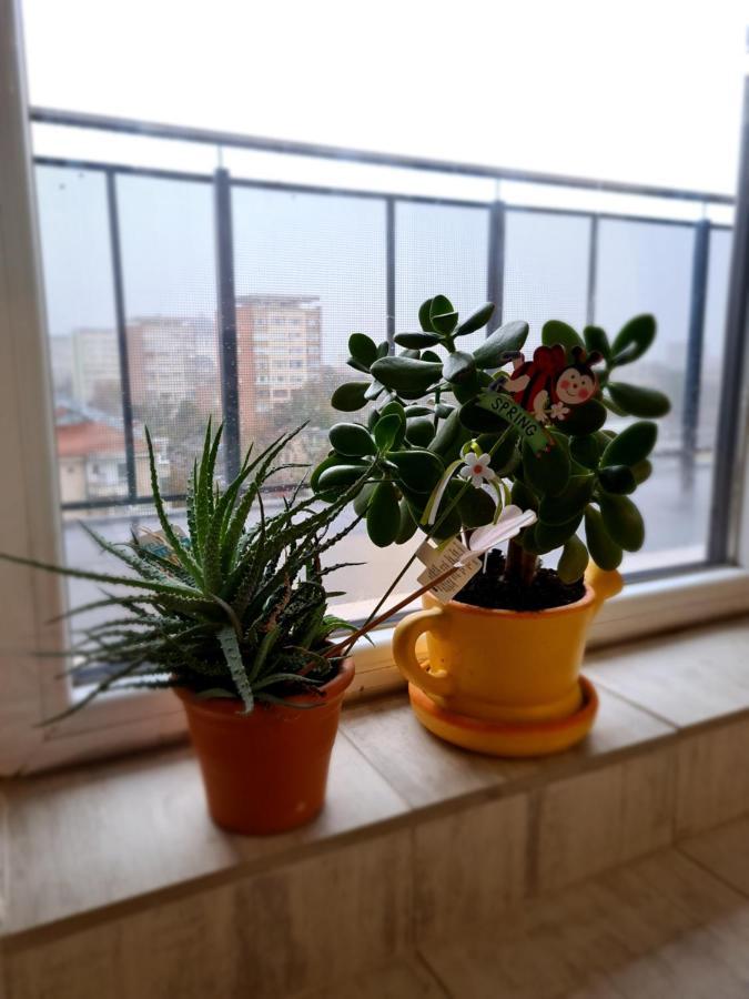 Cozy Apartment Arad Eksteriør bilde