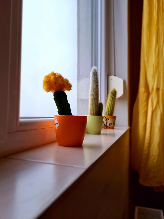 Cozy Apartment Arad Eksteriør bilde